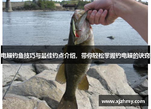 电鳗钓鱼技巧与最佳钓点介绍，带你轻松掌握钓电鳗的诀窍